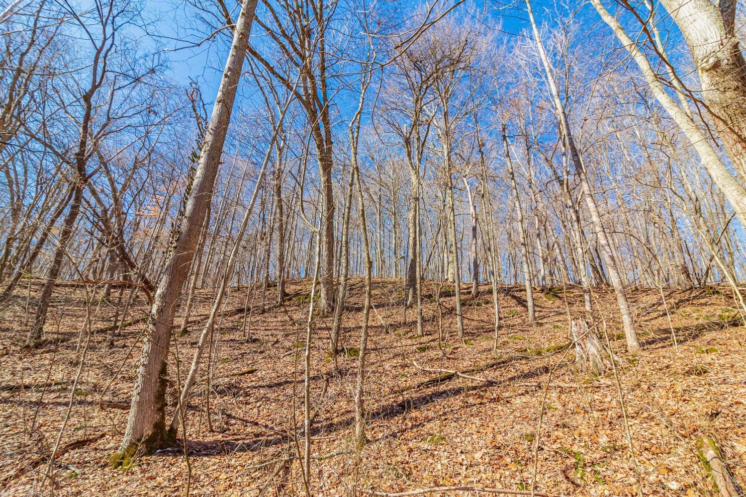 2030 Slate Fork Road