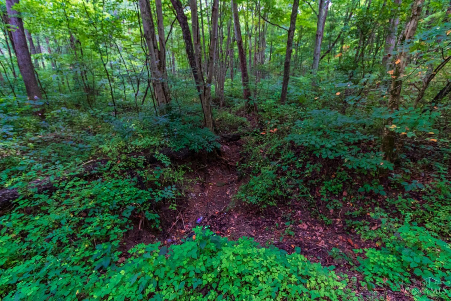 321 Red Bridge Road