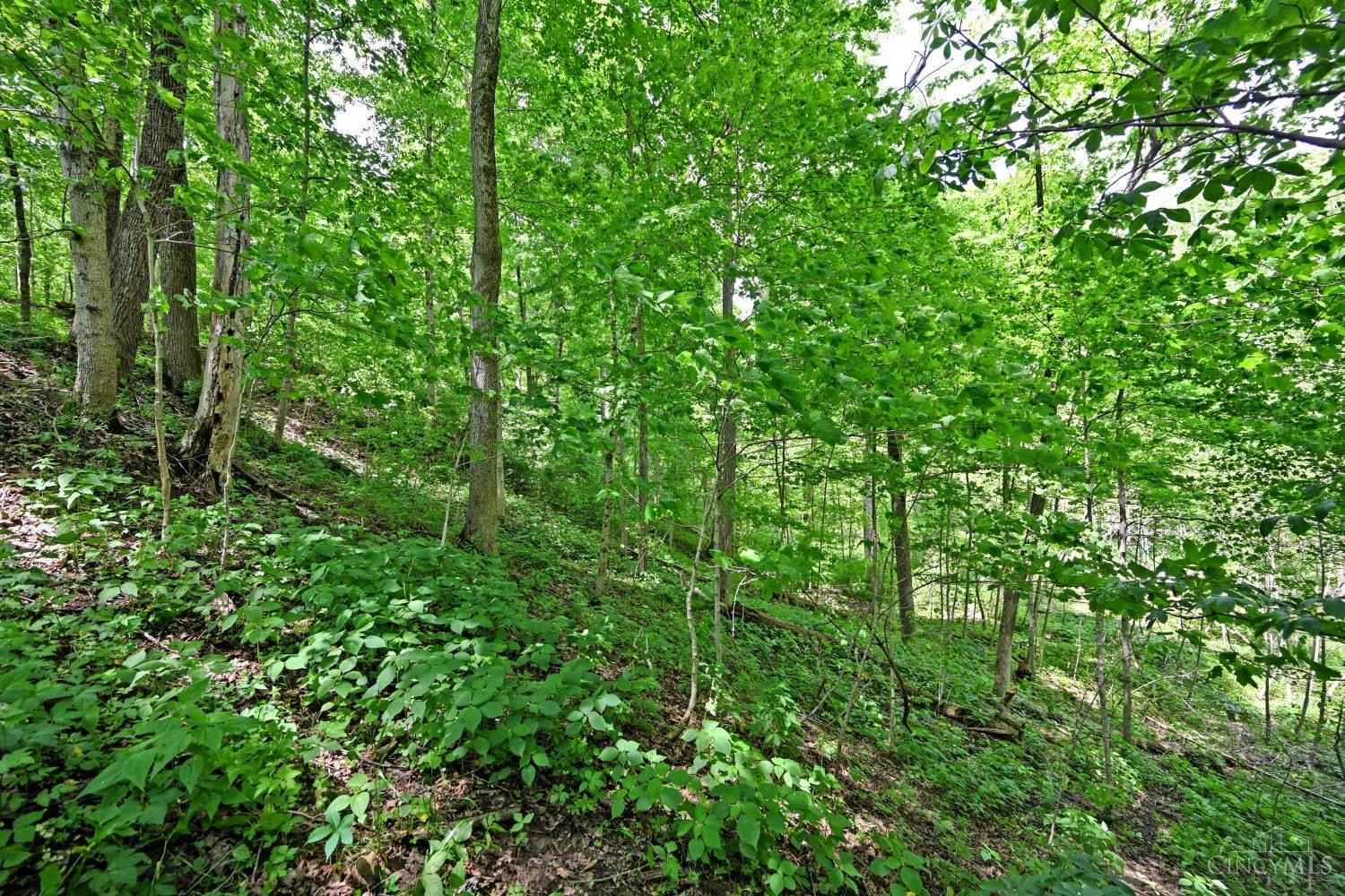 6244 Watt Road, Camden, OH, 45311 — photo 18