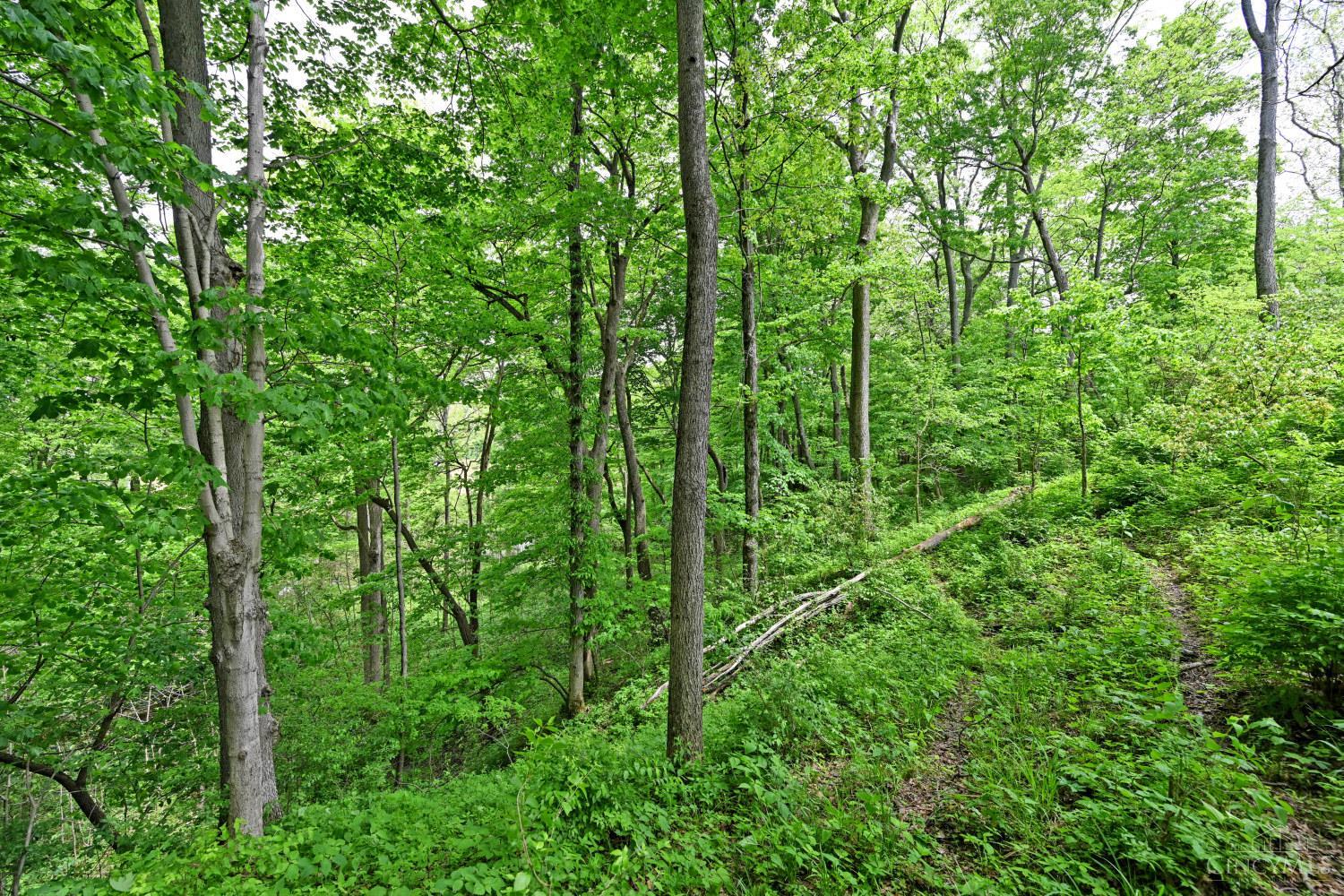 6244 Watt Road, Camden, OH, 45311 — photo 12