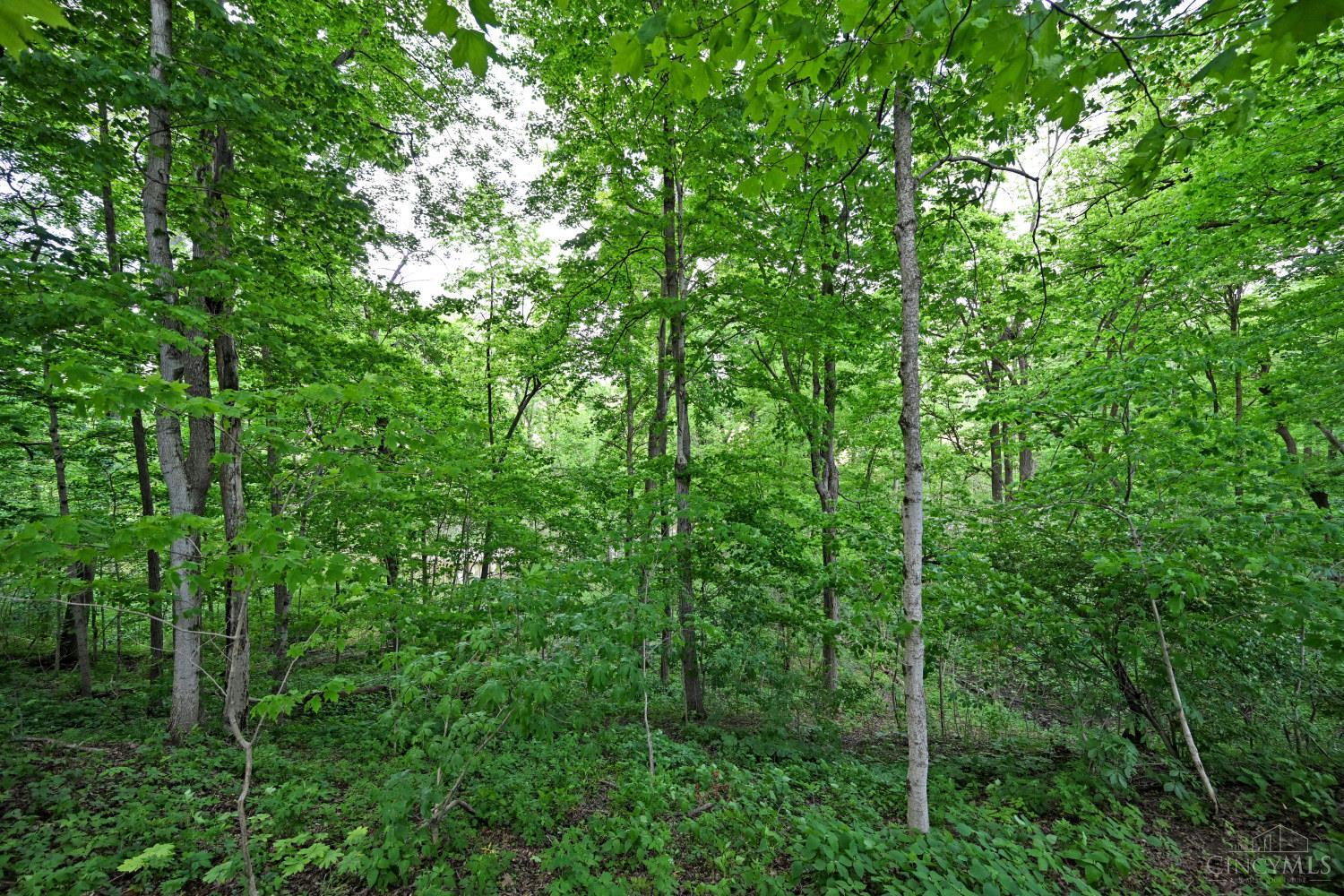 6244 Watt Road, Camden, OH, 45311 — photo 39