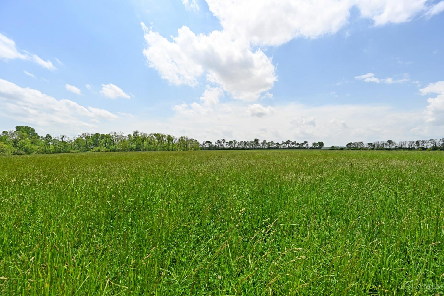 6244 Watt Road, Camden, OH, 45311 — photo 42