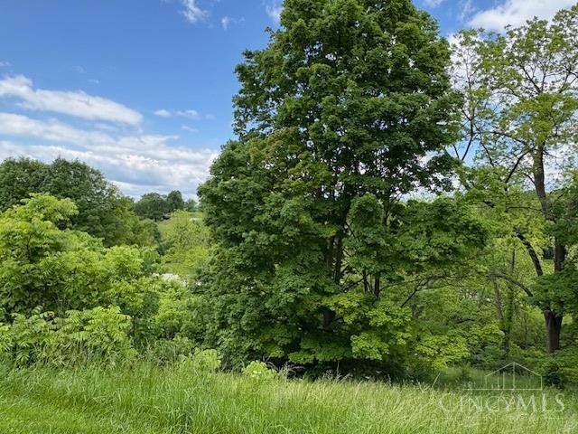 5778 Blue Rock Hill Road, Colerain Twp, OH, 45247 — photo 7