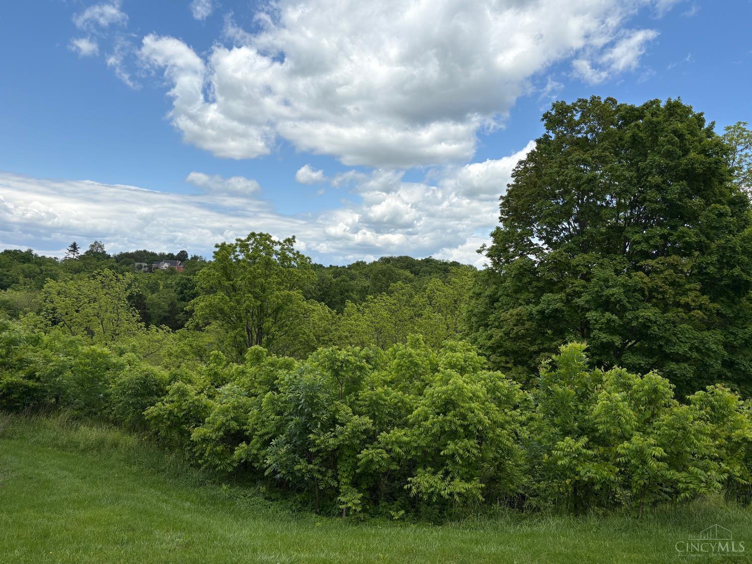 5778 Blue Rock Hill Road, Colerain Twp, OH, 45247 — photo 5