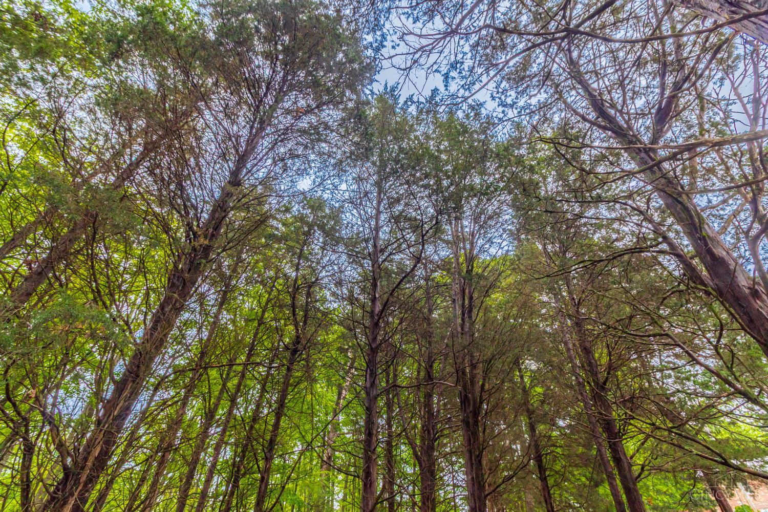185 Marble Furnace Road