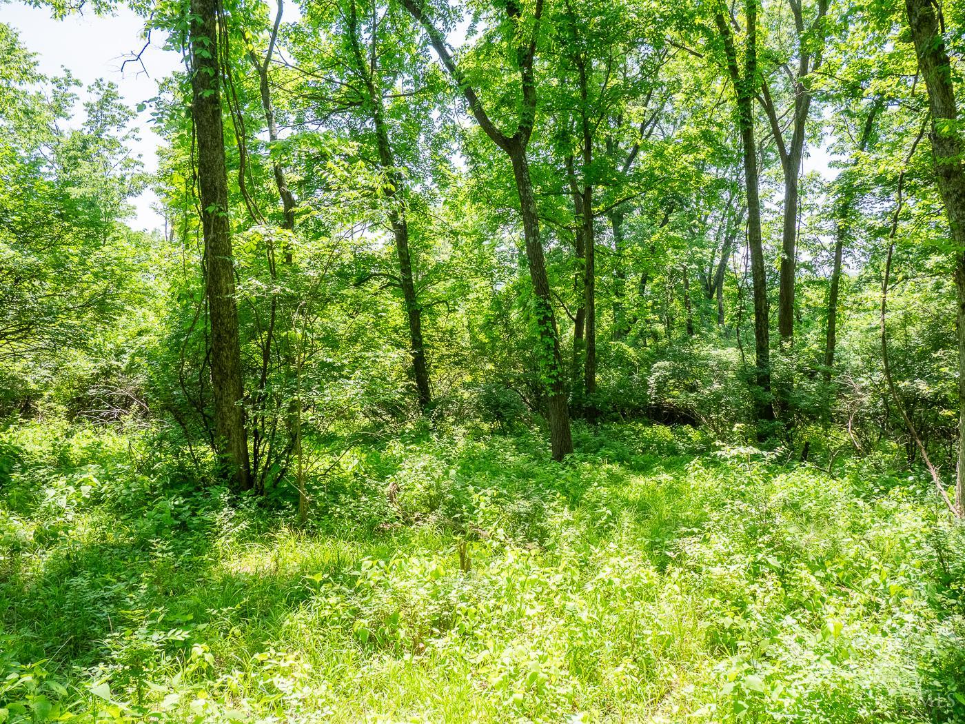 5899 Jordan Lane, Columbia Twp, OH, 45227 — photo 10