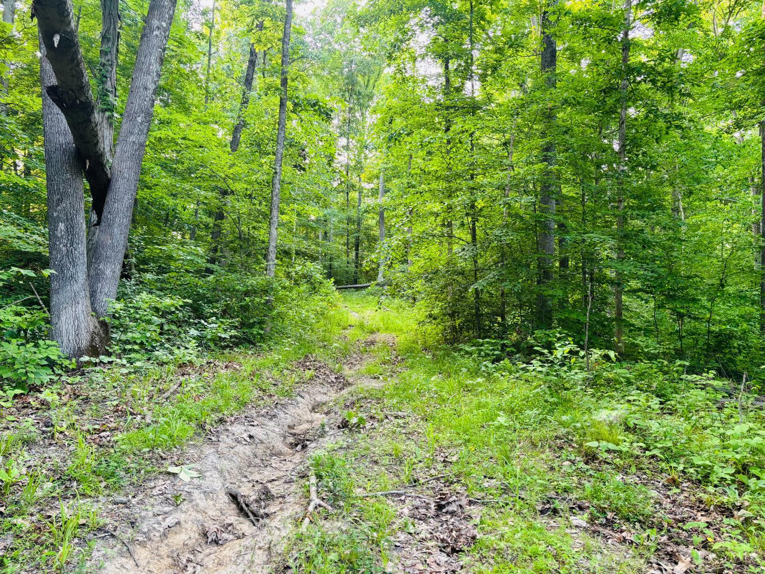 Laurel Road, Laurel, IN, 47024 — photo 7