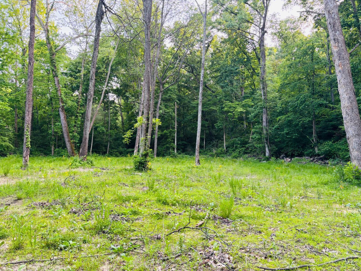 Laurel Road, Laurel, IN, 47024