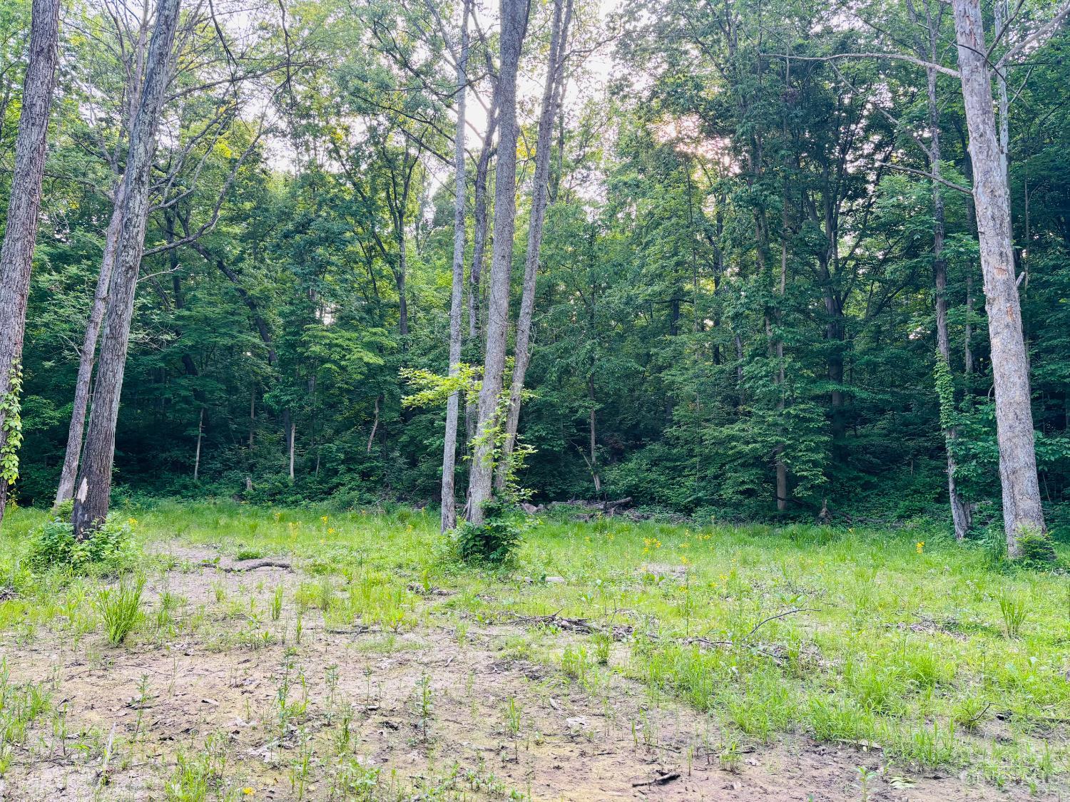 Laurel Road, Laurel, IN, 47024 — photo 3