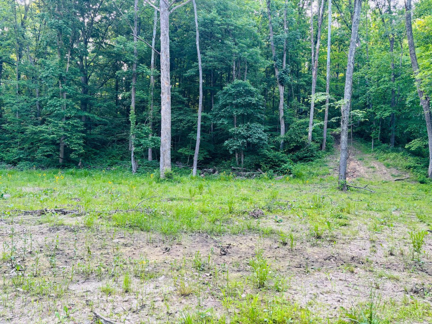 Laurel Road, Laurel, IN, 47024 — photo 4