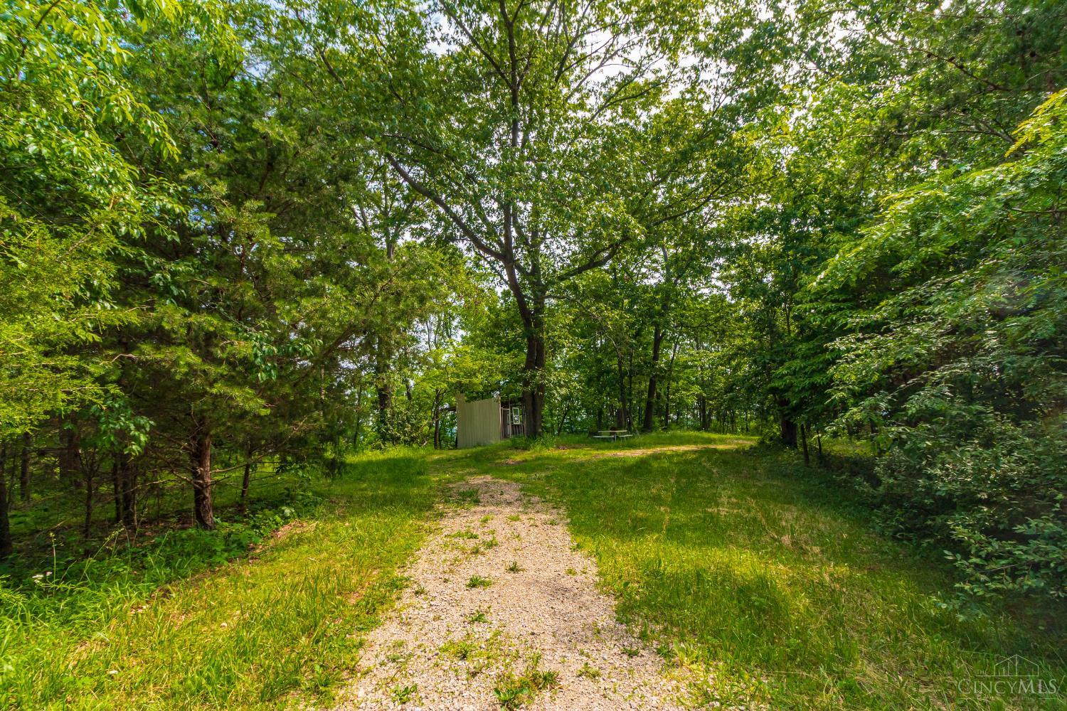 331 Swayne Road