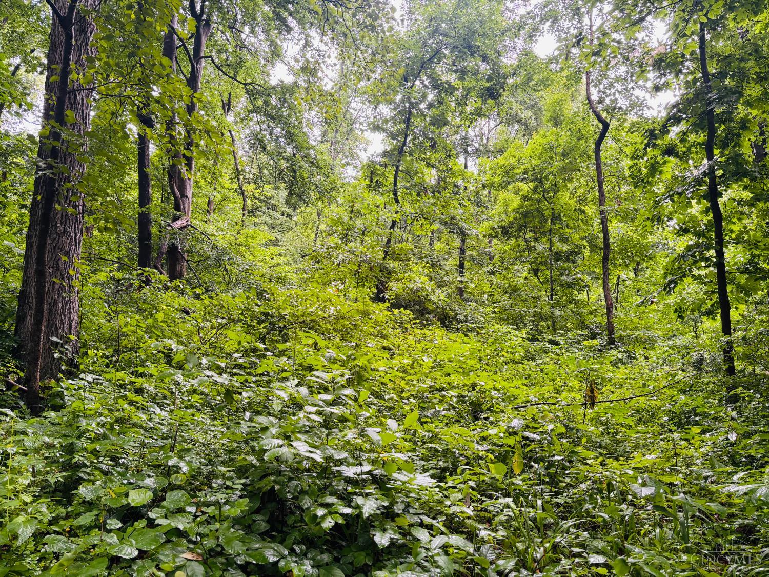 Laurel Road, Laurel, IN, 47024 — photo 13