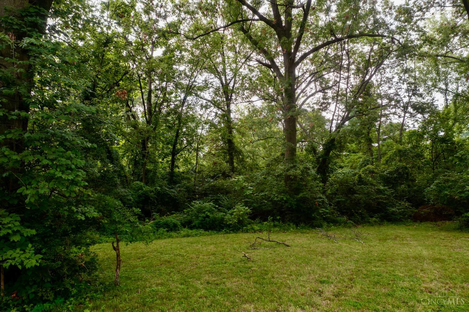 .0288 ac Buckwheat Road, Miami Twp, OH, 45150 — photo 4
