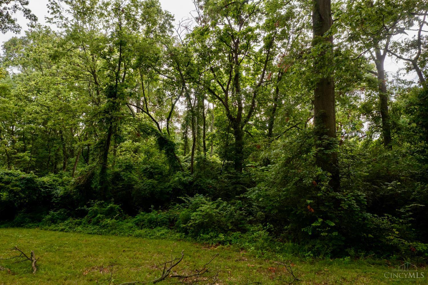 .0288 ac Buckwheat Road, Miami Twp, OH, 45150 — photo 5