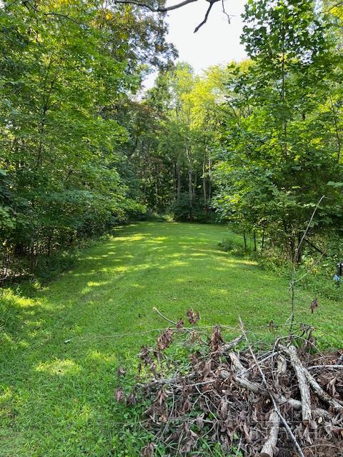 292 Larry Baynum Road, West Union, OH, 45693 — photo 27