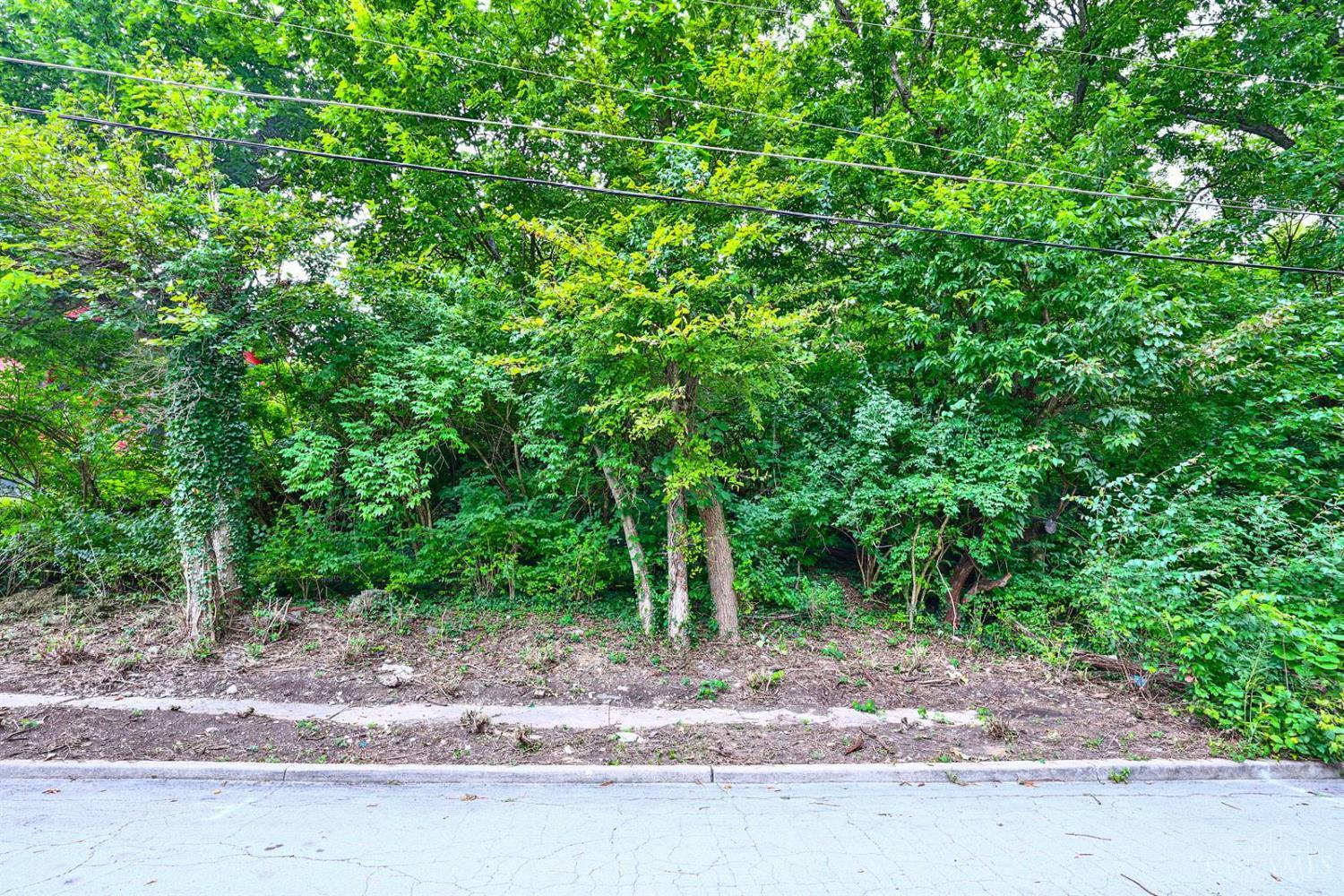 2911 Moosewood Court, Cincinnati, OH, 45225 — photo 2