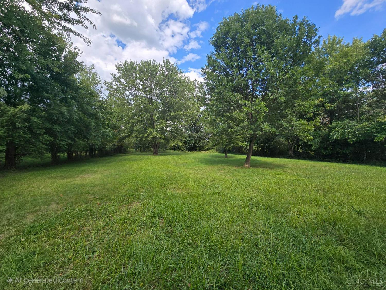 Homes for sale in Wayne Twp, OH | 6664 Edenton Pleasant Plain Rd, Wayne Twp, OH 45162 | MLS# 1853110