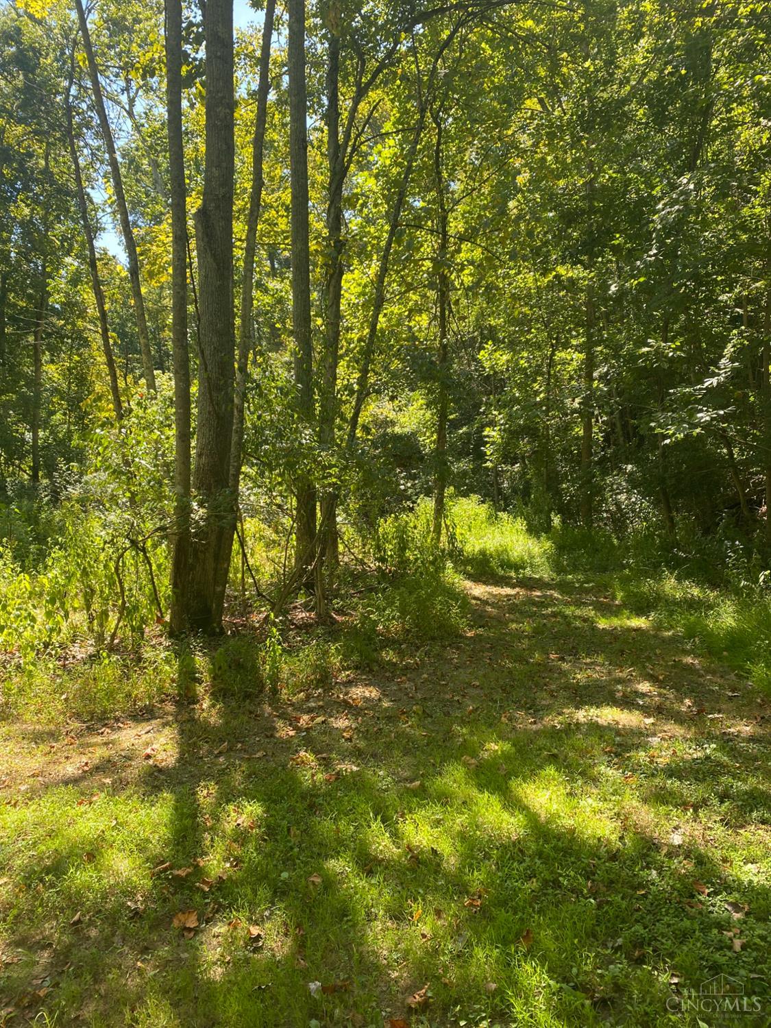 Sugar Camp Road, Miami Twp, OH, 45150 — photo 8