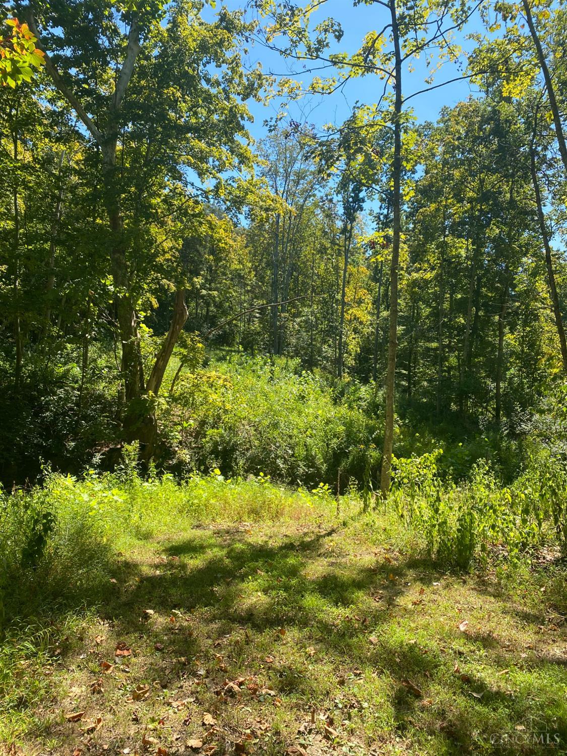 Sugar Camp Road, Miami Twp, OH, 45150 — photo 2