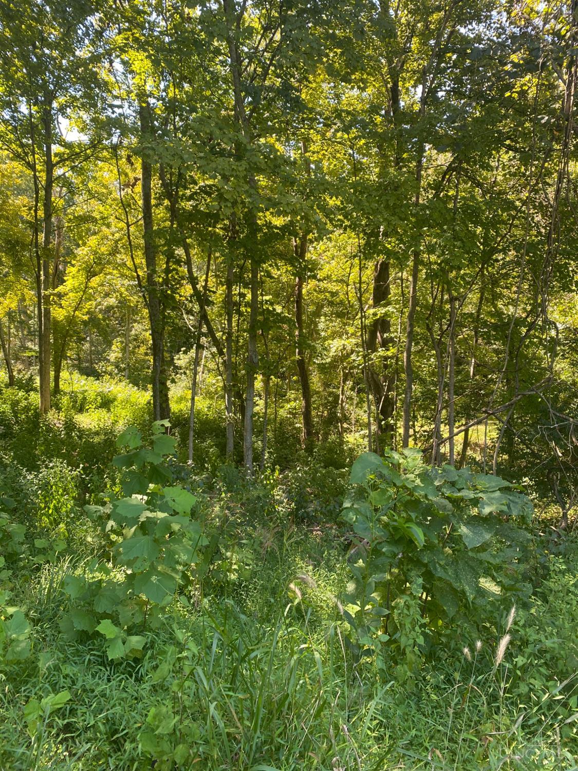 Sugar Camp Road, Miami Twp, OH, 45150 — photo 7