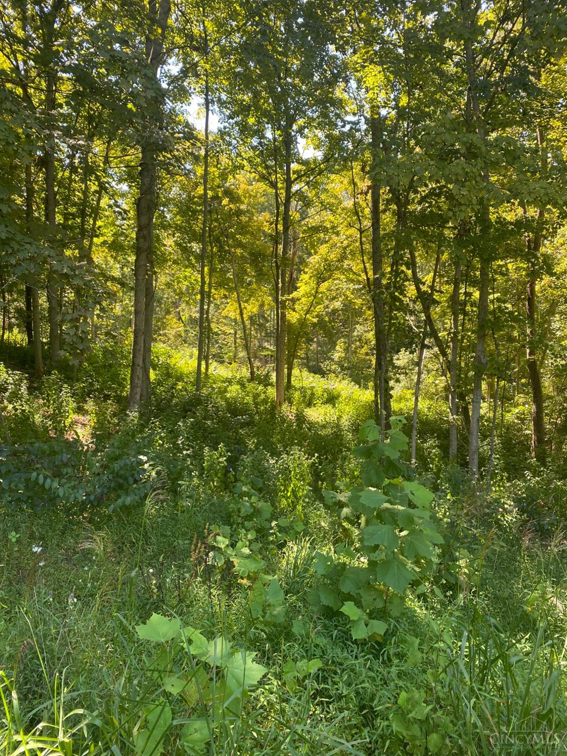 Sugar Camp Road, Miami Twp, OH, 45150 — photo 6