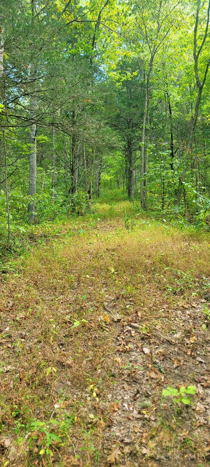 5.08 Ac Bear Creek Rd, Washington Twp, OH, 45120 — photo 5