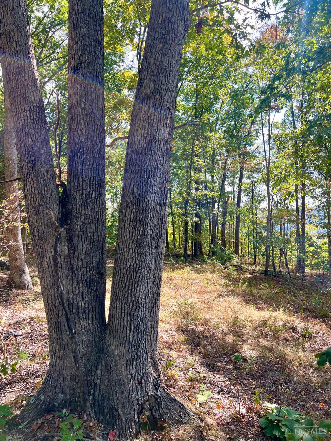 St Rt 348, Brushcreek Twp, OH, 45657 — photo 81