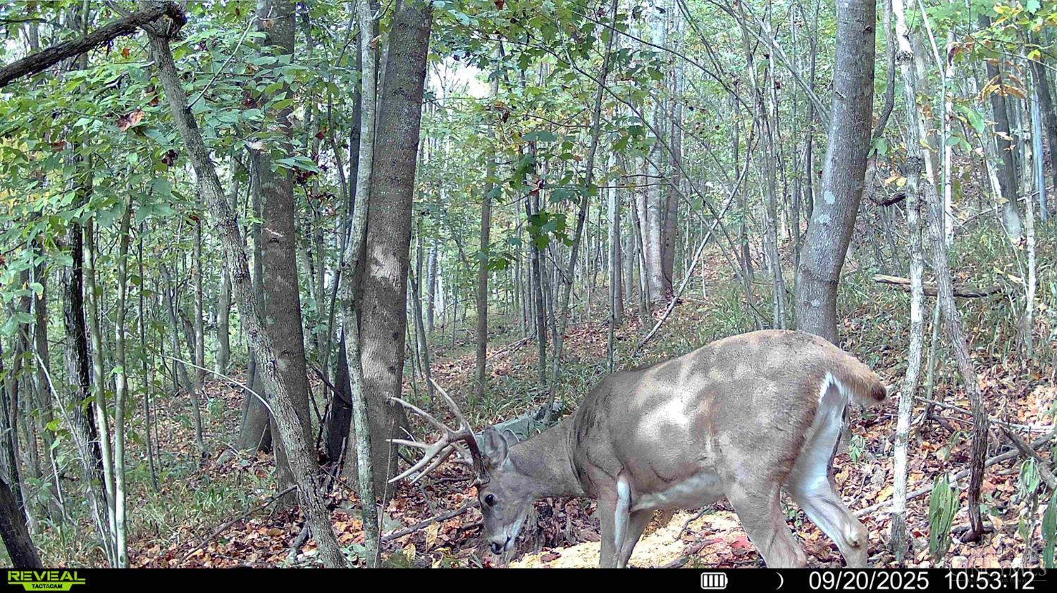 St Rt 348, Brushcreek Twp, OH, 45657 — photo 33