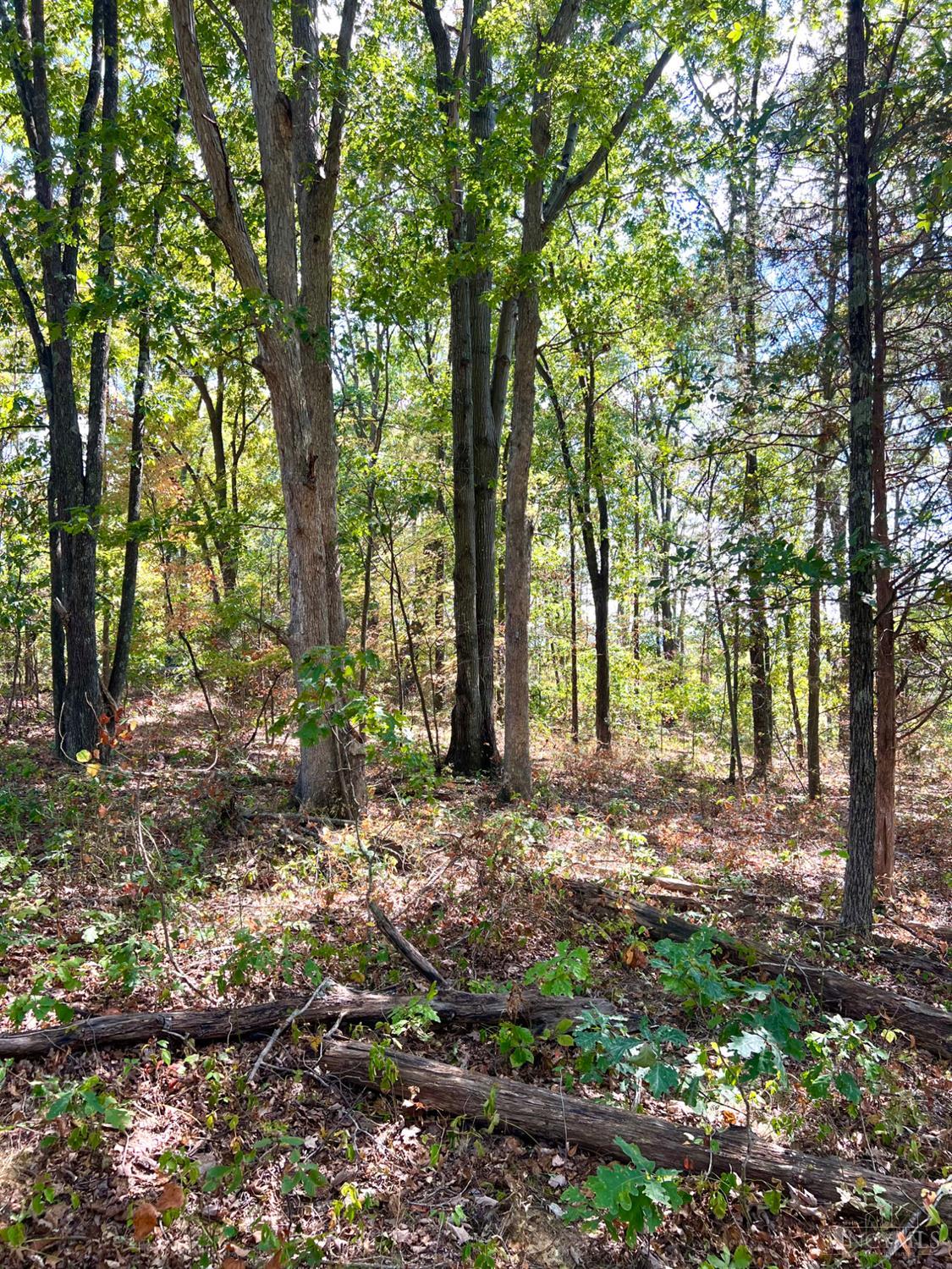 St Rt 348, Brushcreek Twp, OH, 45657 — photo 78