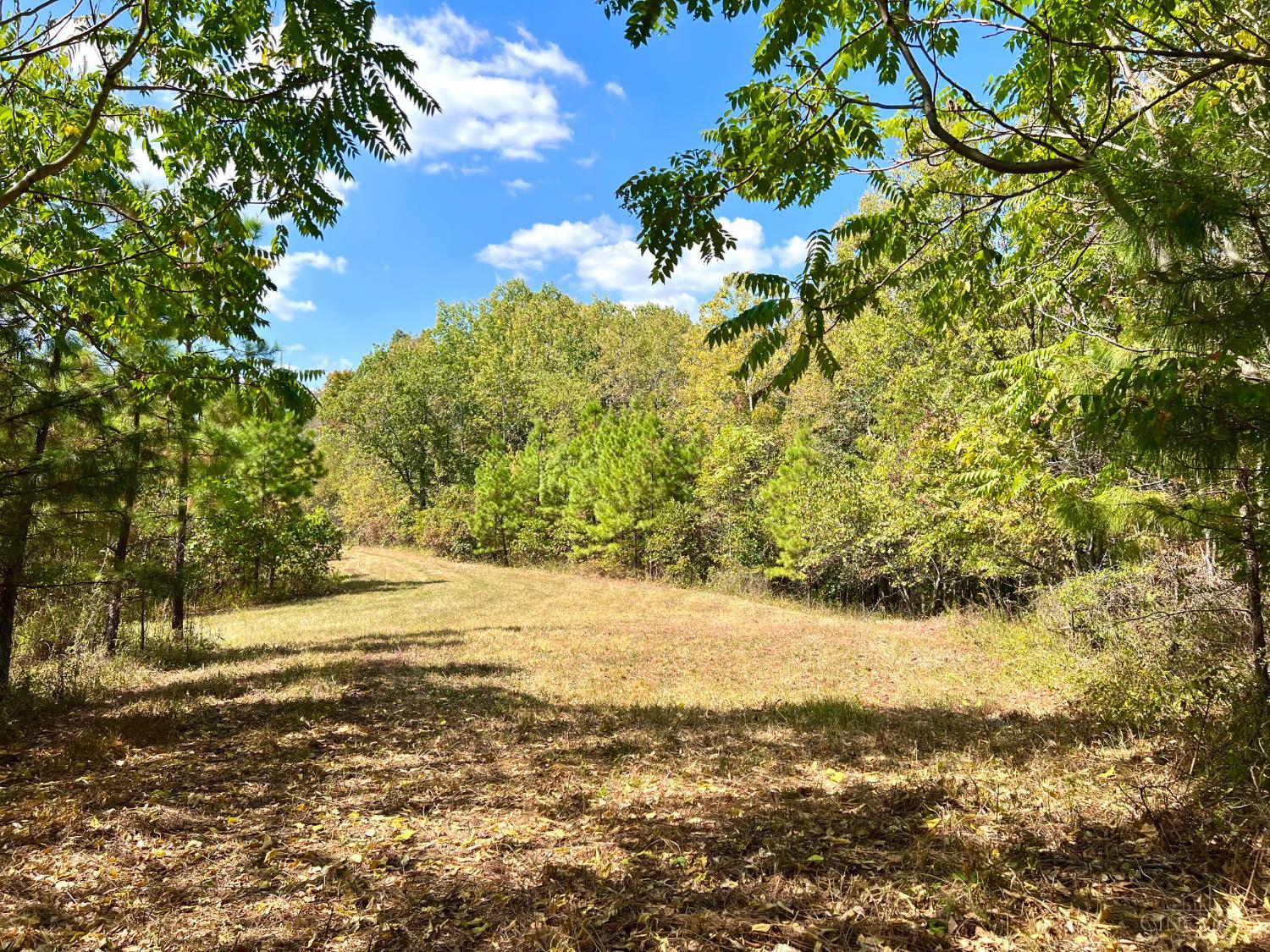 St Rt 348, Brushcreek Twp, OH, 45657 — photo 44