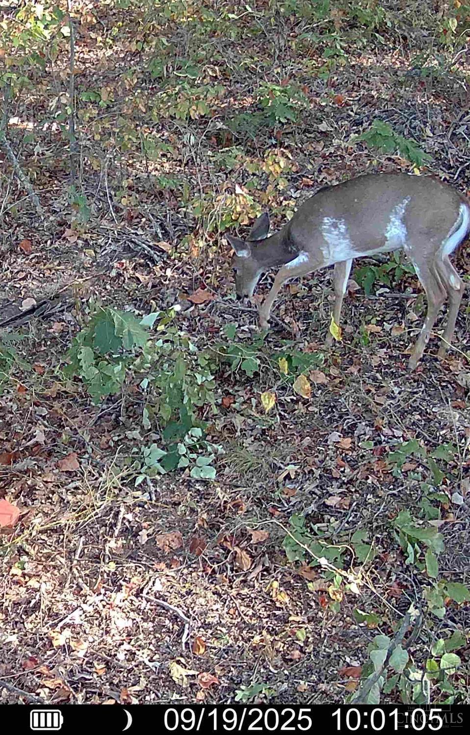 St Rt 348, Brushcreek Twp, OH, 45657 — photo 31