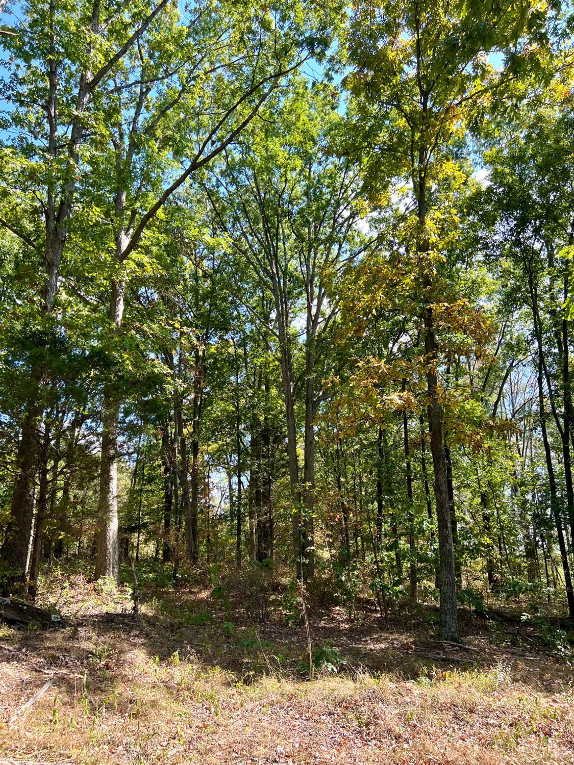 St Rt 348, Brushcreek Twp, OH, 45657 — photo 80