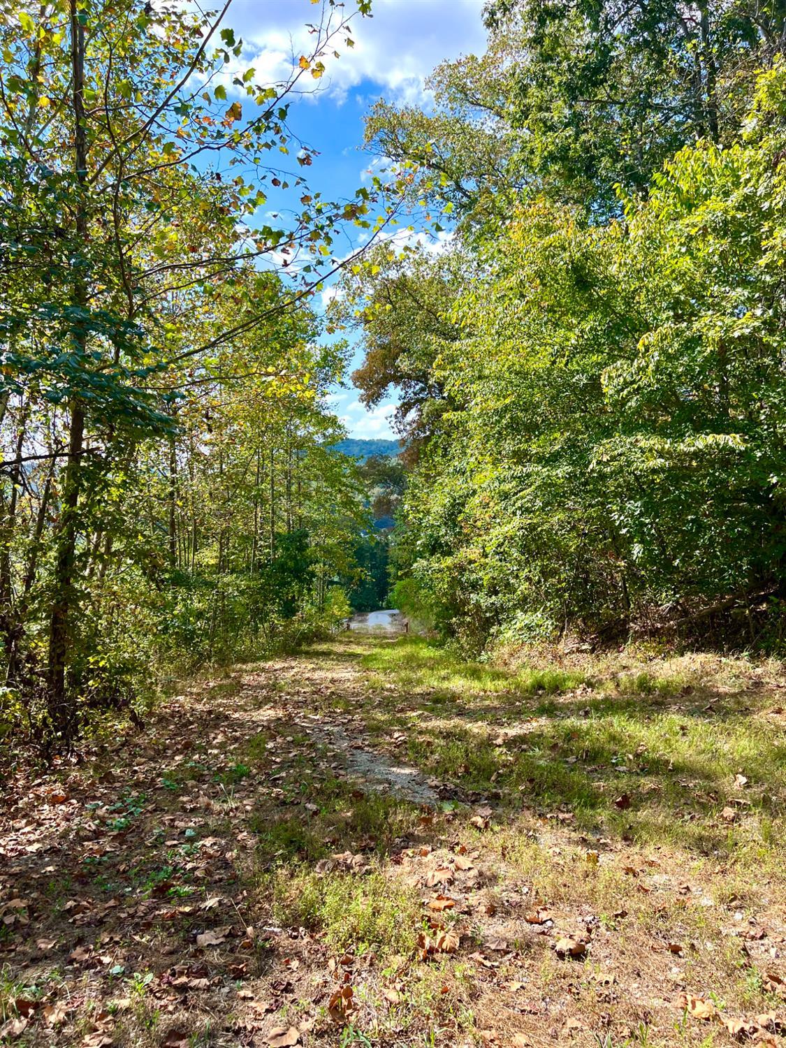 St Rt 348, Brushcreek Twp, OH, 45657 — photo 35