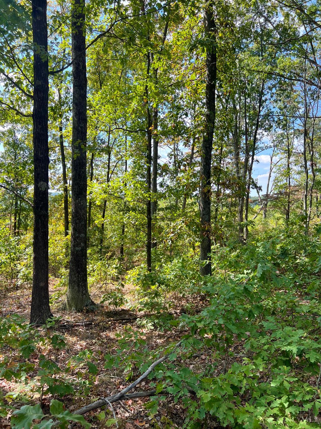 St Rt 348, Brushcreek Twp, OH, 45657 — photo 90