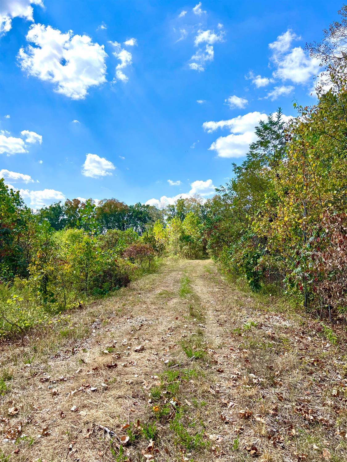 St Rt 348, Brushcreek Twp, OH, 45657 — photo 50