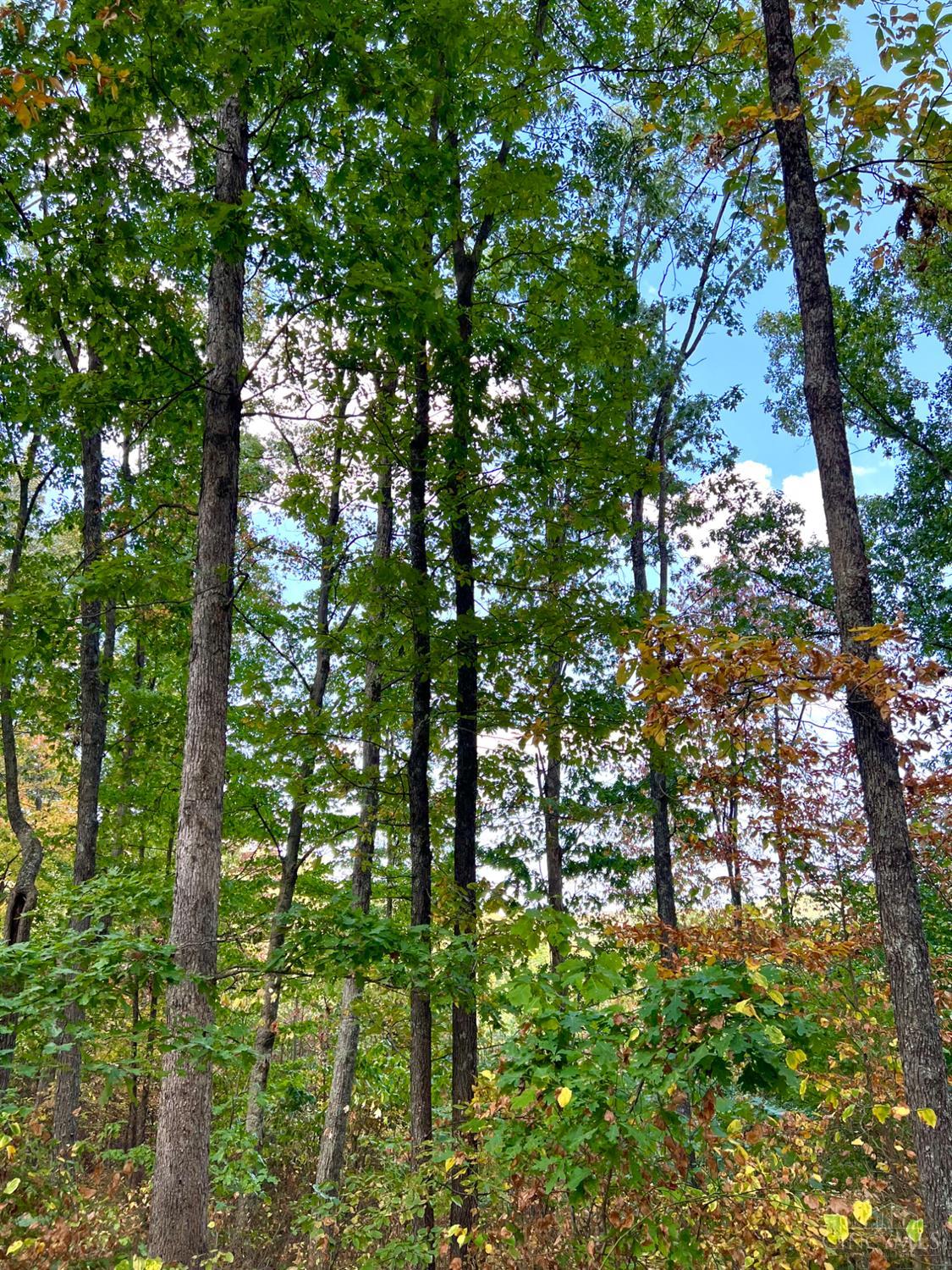 St Rt 348, Brushcreek Twp, OH, 45657 — photo 58