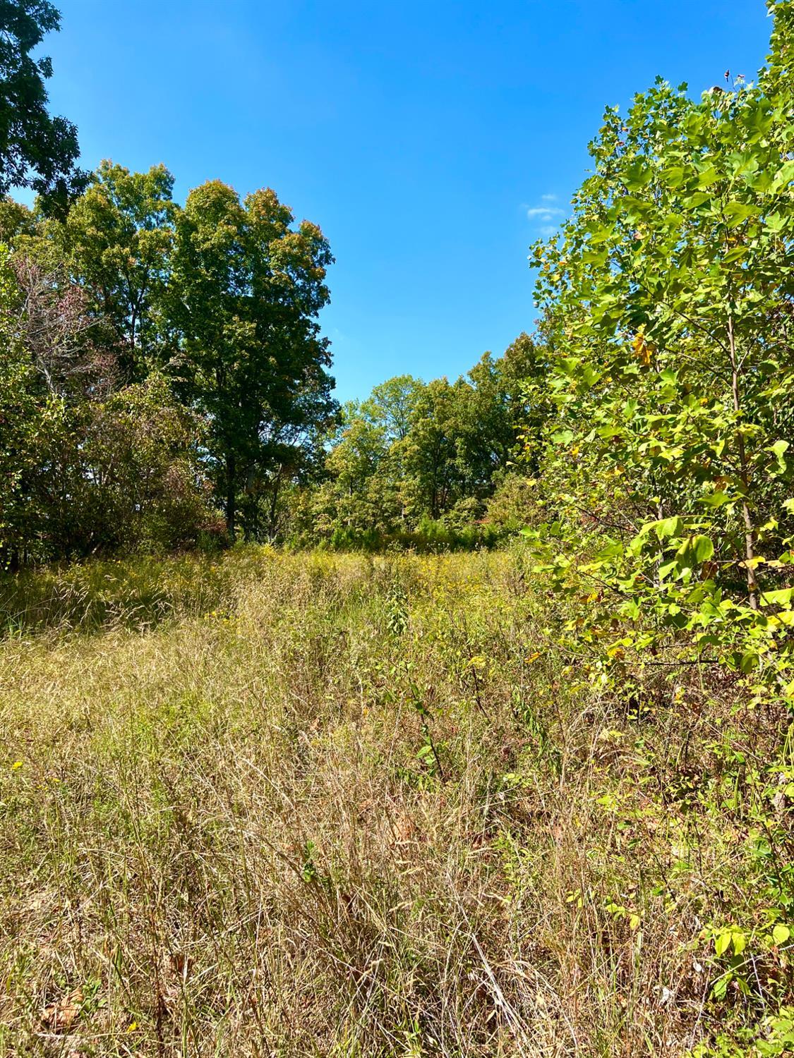 St Rt 348, Brushcreek Twp, OH, 45657 — photo 71