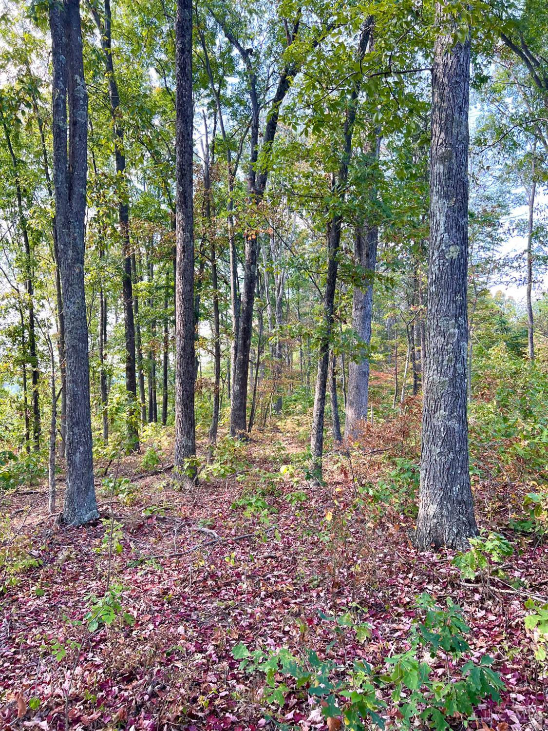 St Rt 348, Brushcreek Twp, OH, 45657 — photo 94