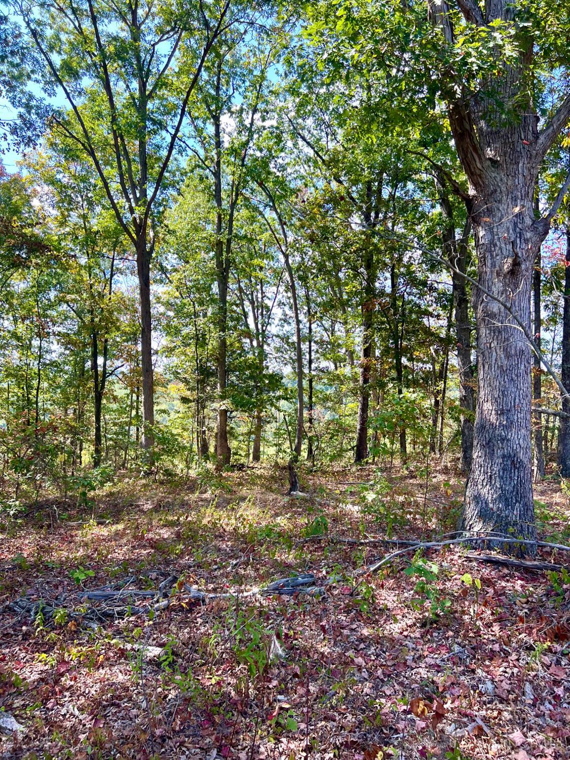 St Rt 348, Brushcreek Twp, OH, 45657 — photo 75