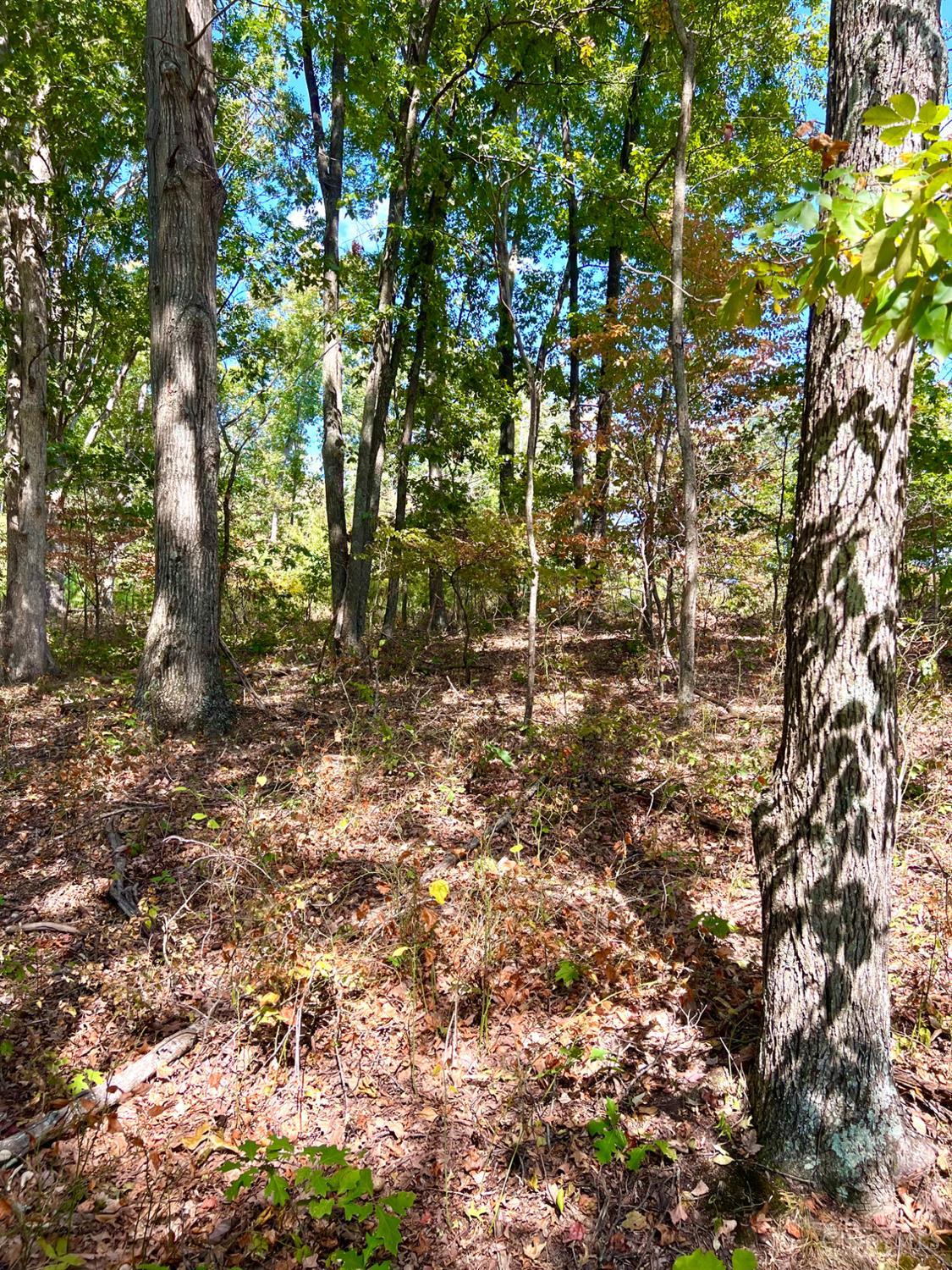 St Rt 348, Brushcreek Twp, OH, 45657 — photo 73