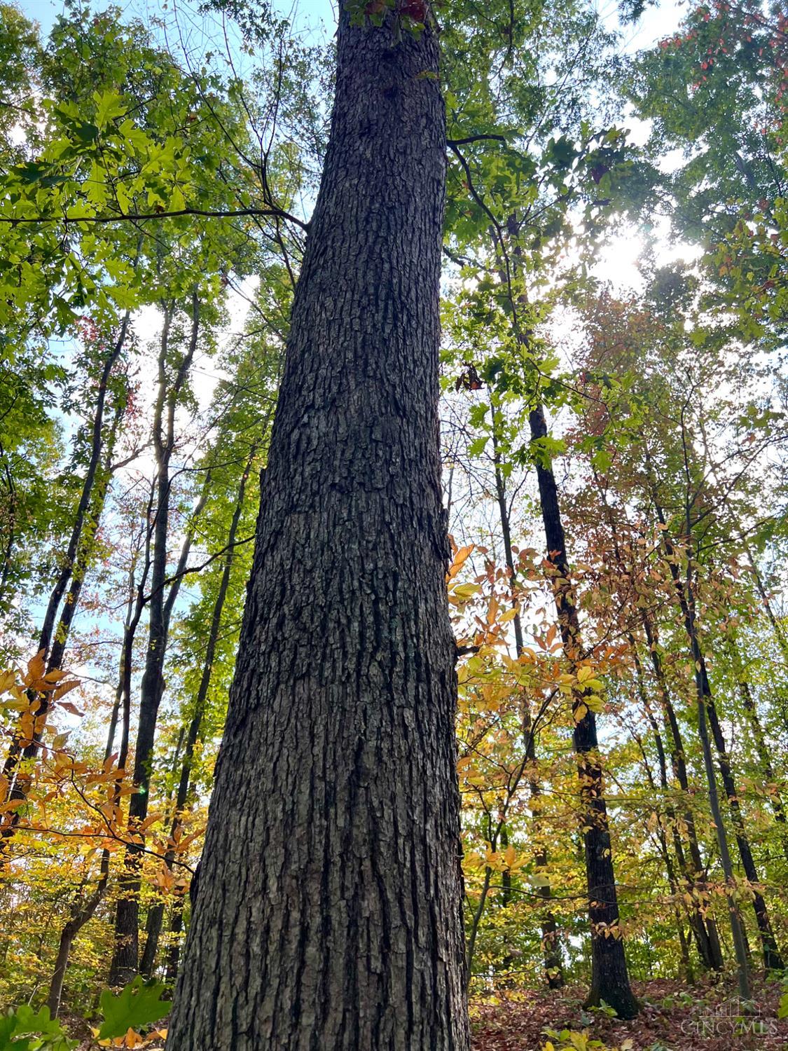 St Rt 348, Brushcreek Twp, OH, 45657 — photo 59