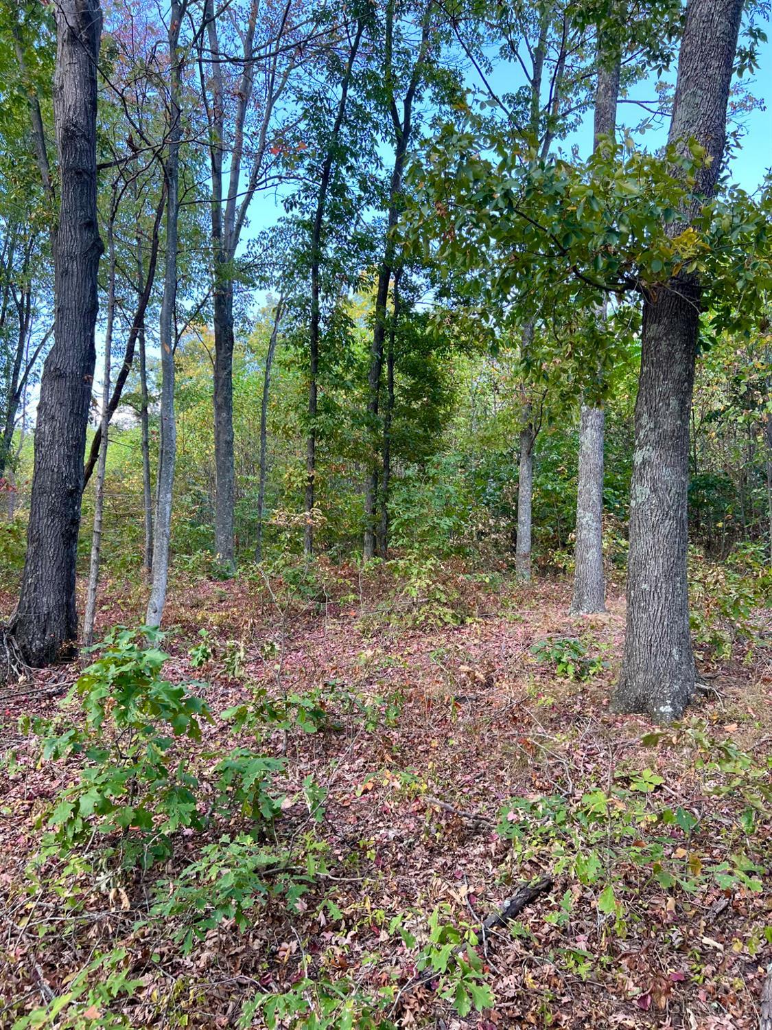 St Rt 348, Brushcreek Twp, OH, 45657 — photo 93