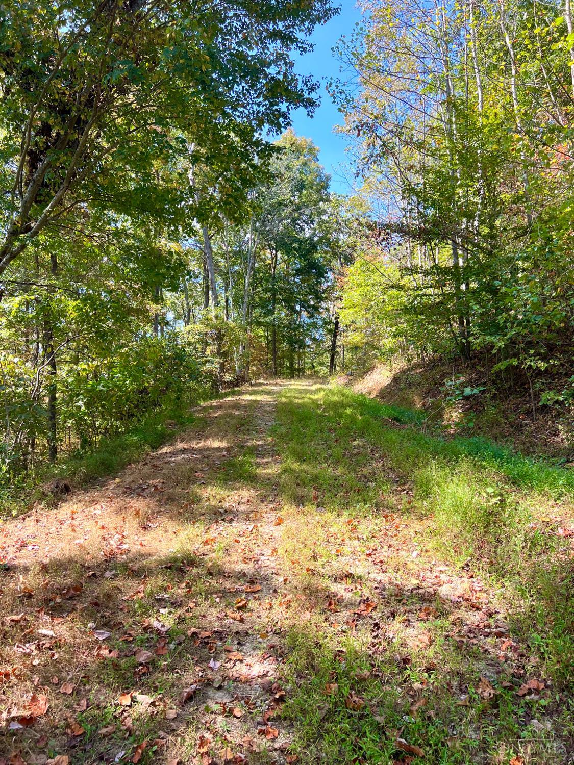 St Rt 348, Brushcreek Twp, OH, 45657 — photo 3