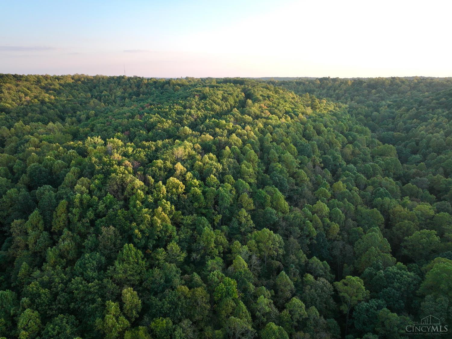 S Side Chenoweth Fork Road, Sunfish Twp, OH, 45660 — photo 46