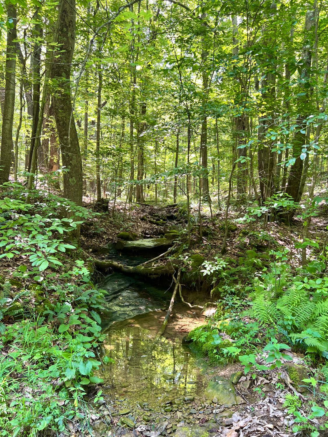 S Side Chenoweth Fork Road, Sunfish Twp, OH, 45660 — photo 64