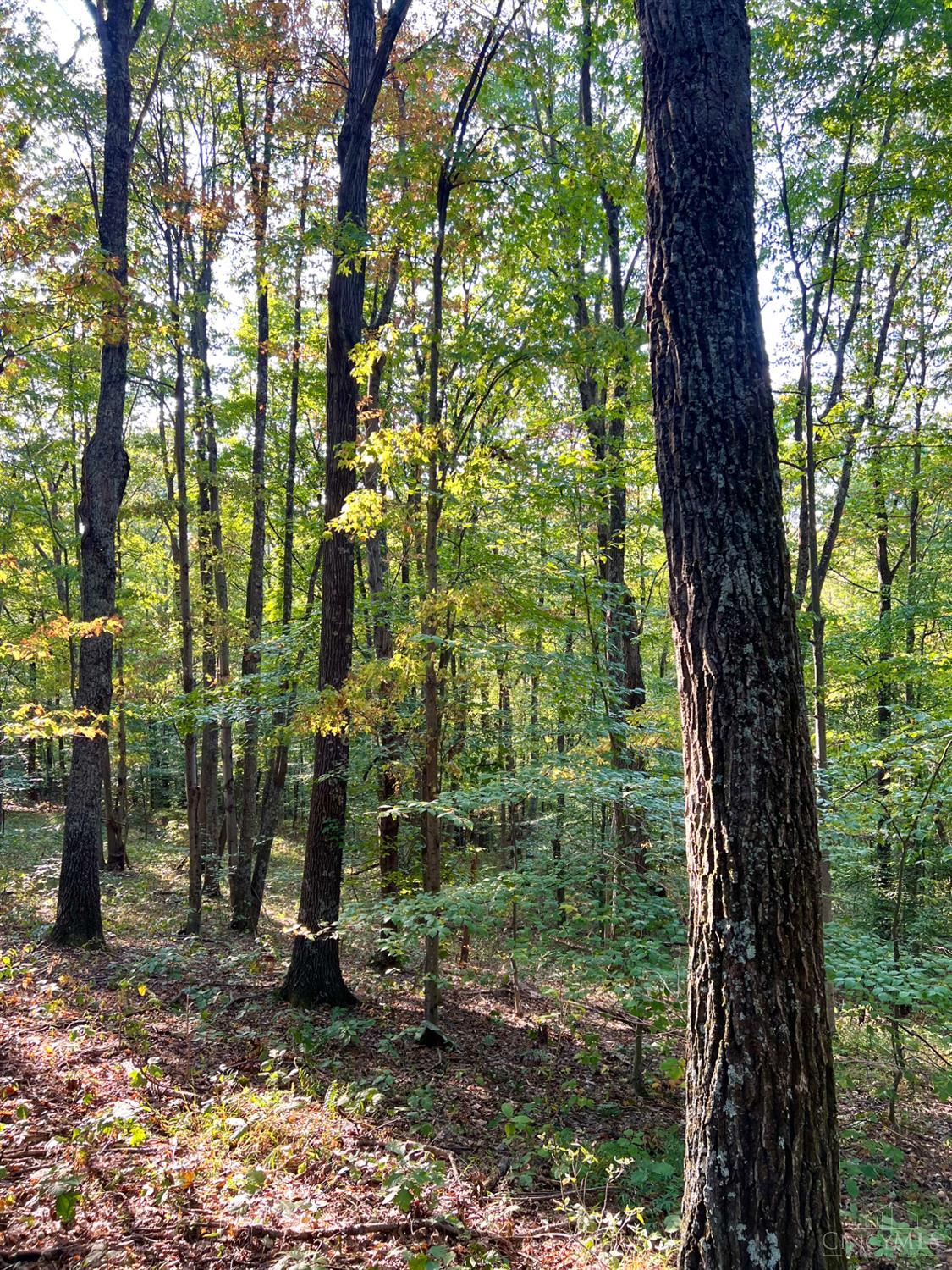 S Side Chenoweth Fork Road, Sunfish Twp, OH, 45660 — photo 84