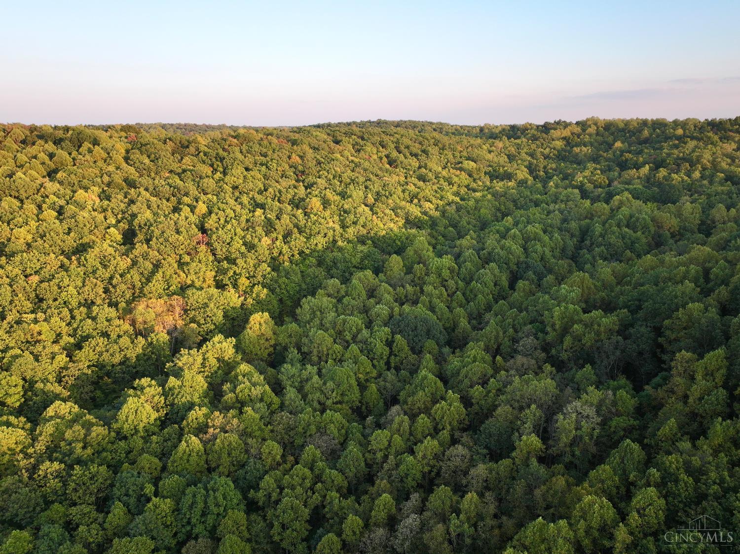 S Side Chenoweth Fork Road, Sunfish Twp, OH, 45660 — photo 47