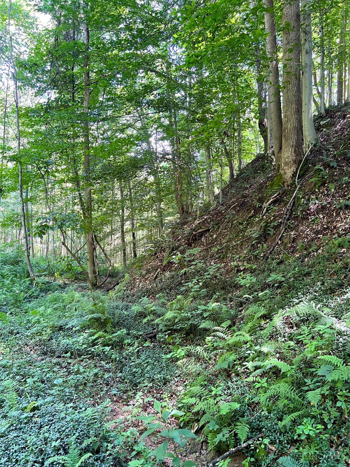S Side Chenoweth Fork Road, Sunfish Twp, OH, 45660 — photo 66