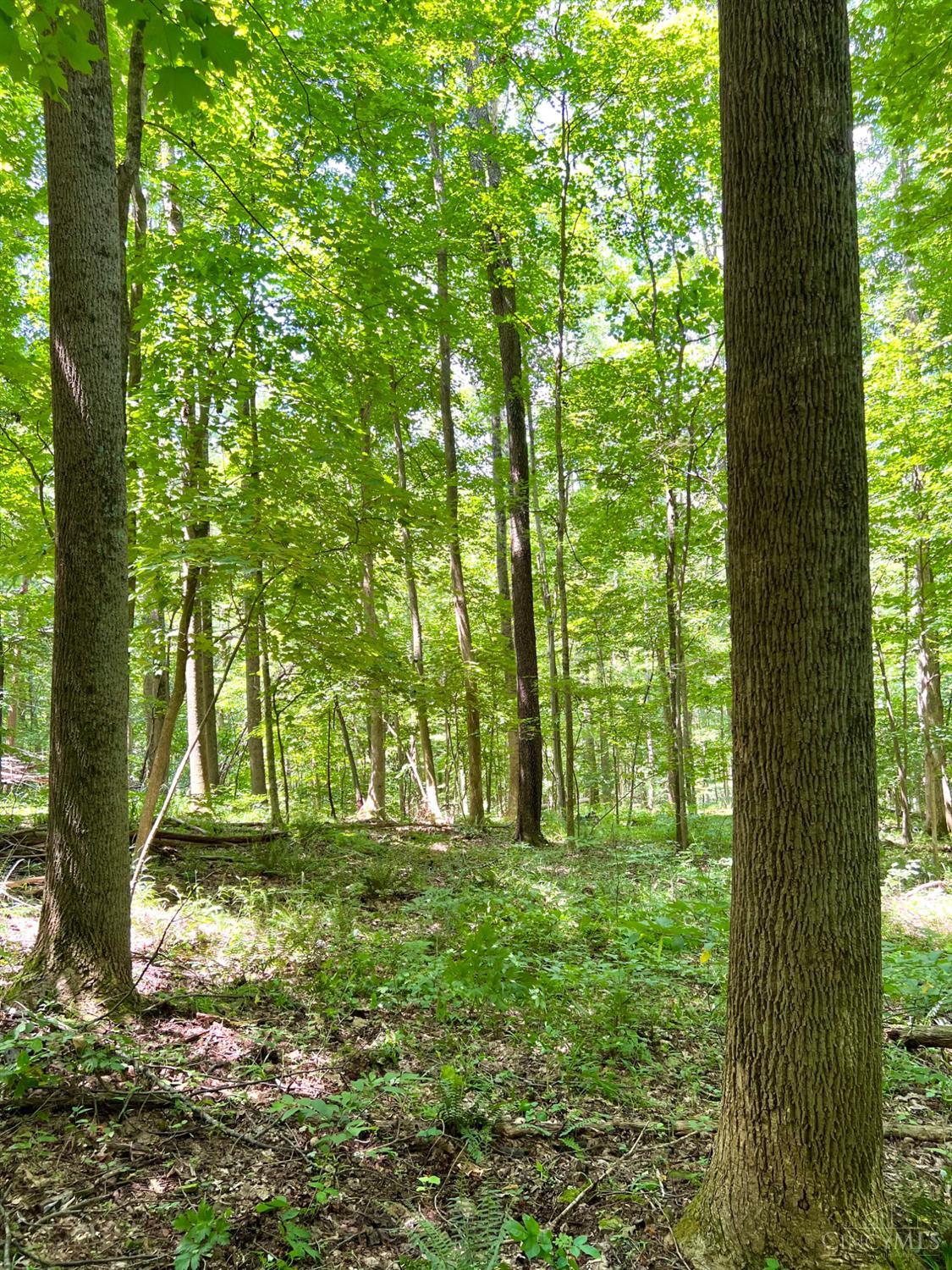 S Side Chenoweth Fork Road, Sunfish Twp, OH, 45660 — photo 54
