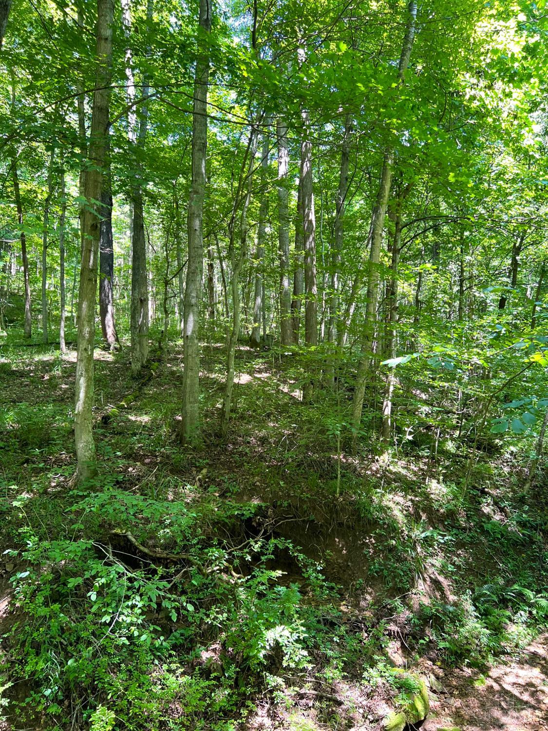 S Side Chenoweth Fork Road, Sunfish Twp, OH, 45660 — photo 68